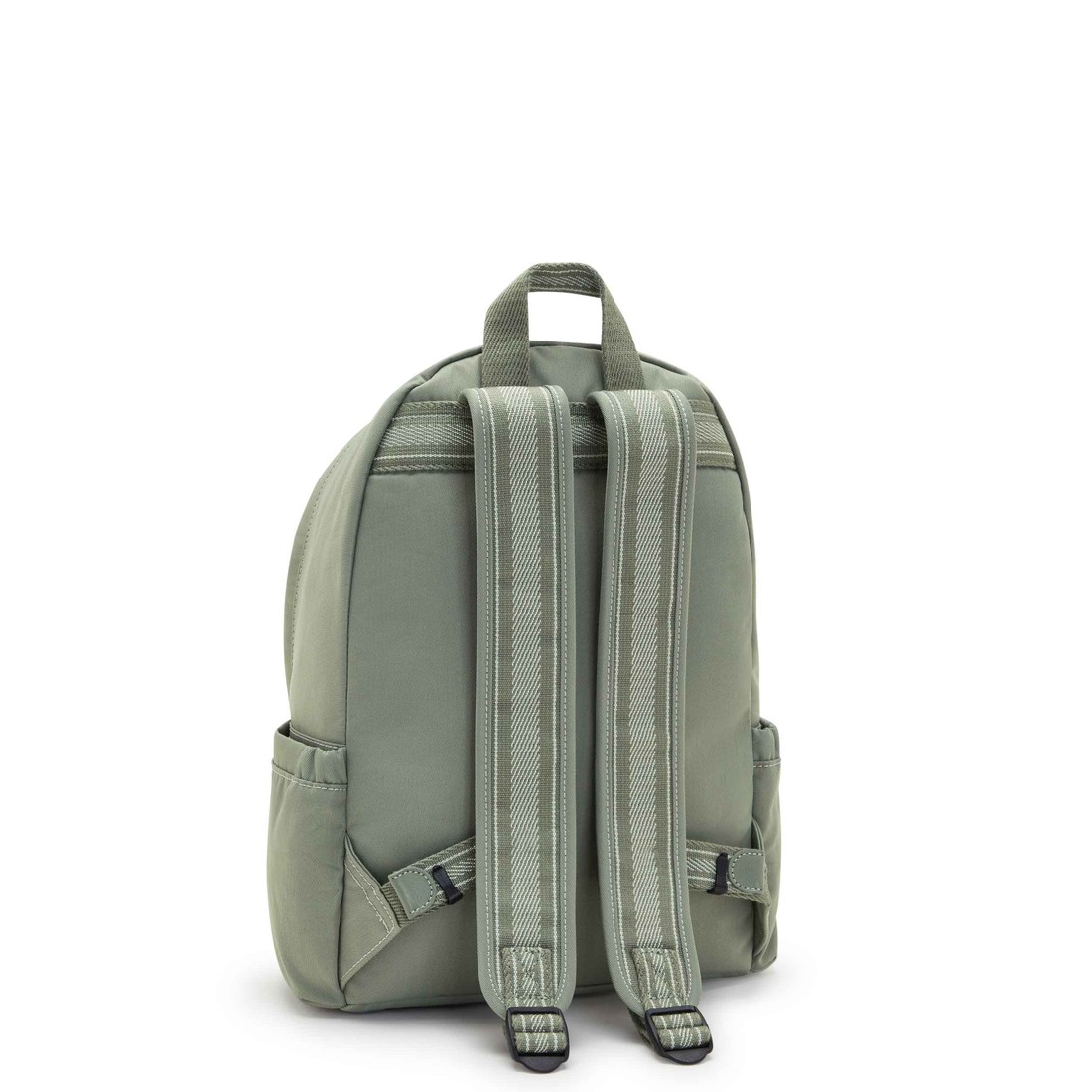 ダークシーウィード