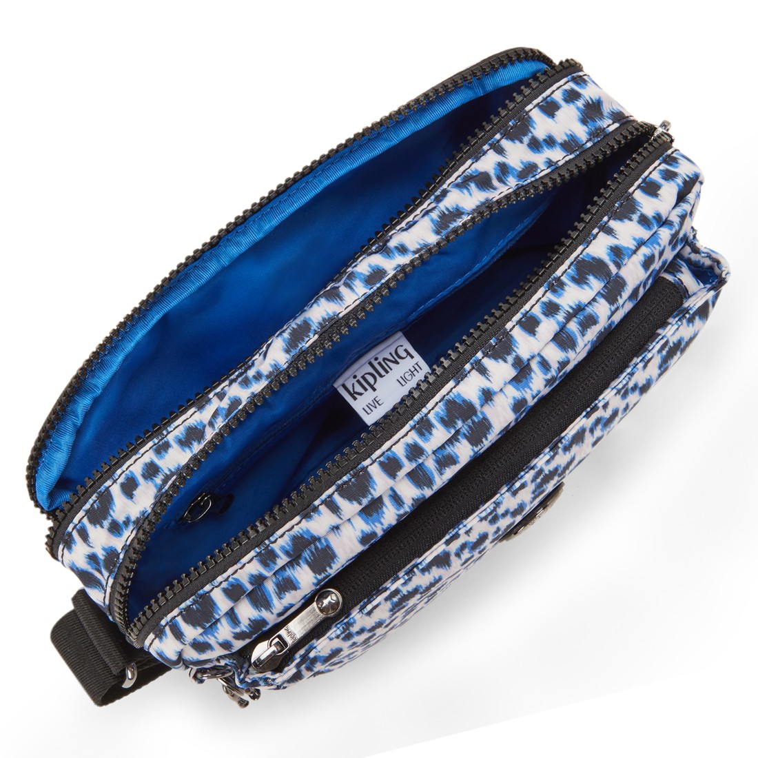 キュリオスレオパード