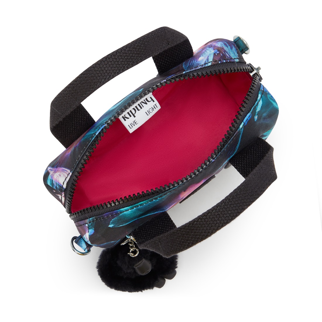 スペクタルオーキッド