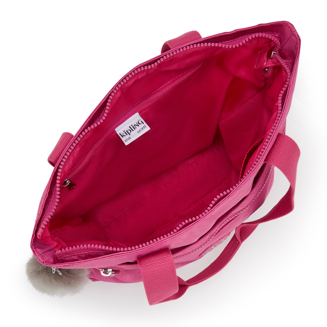 エスケープフクシア