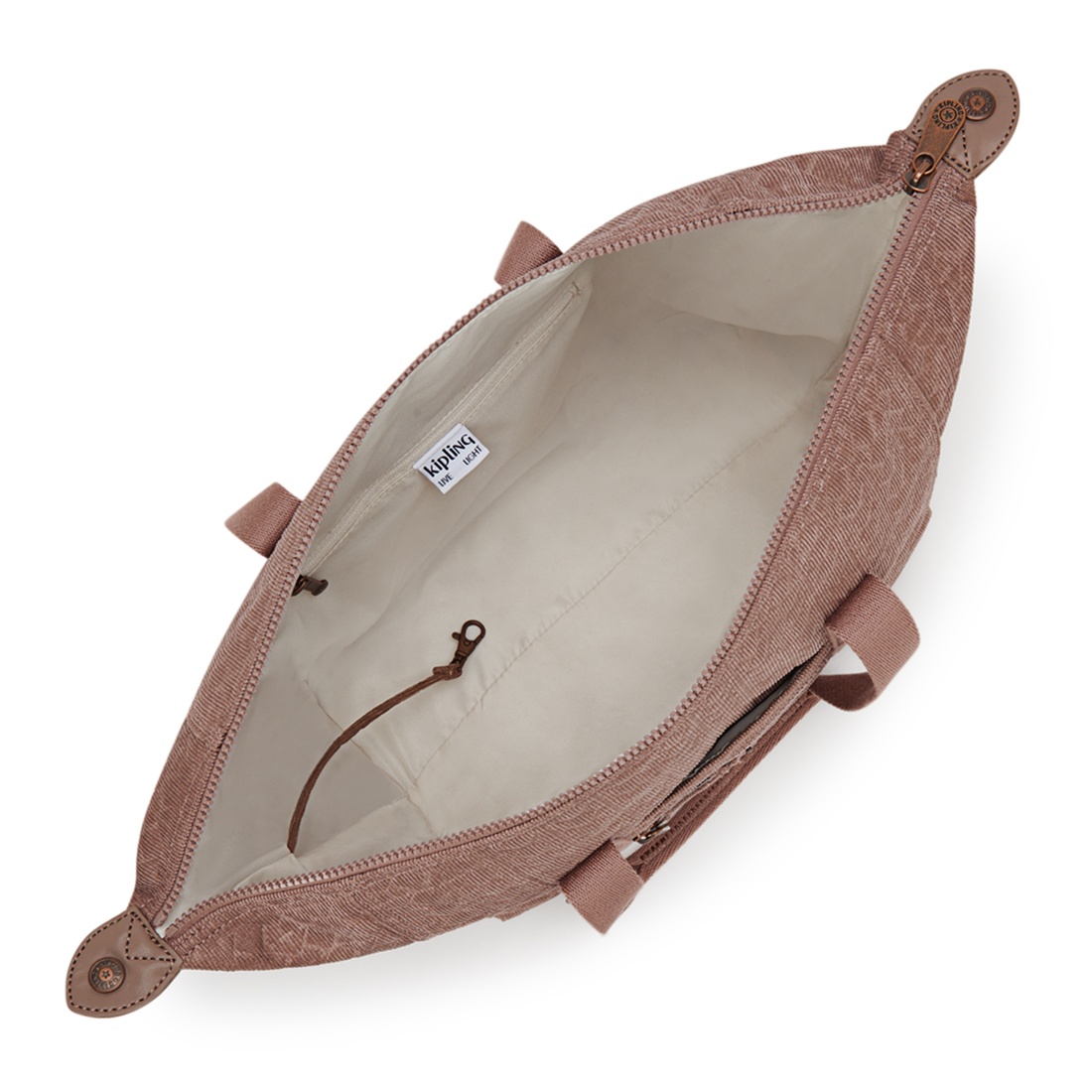 サインブラウンコード