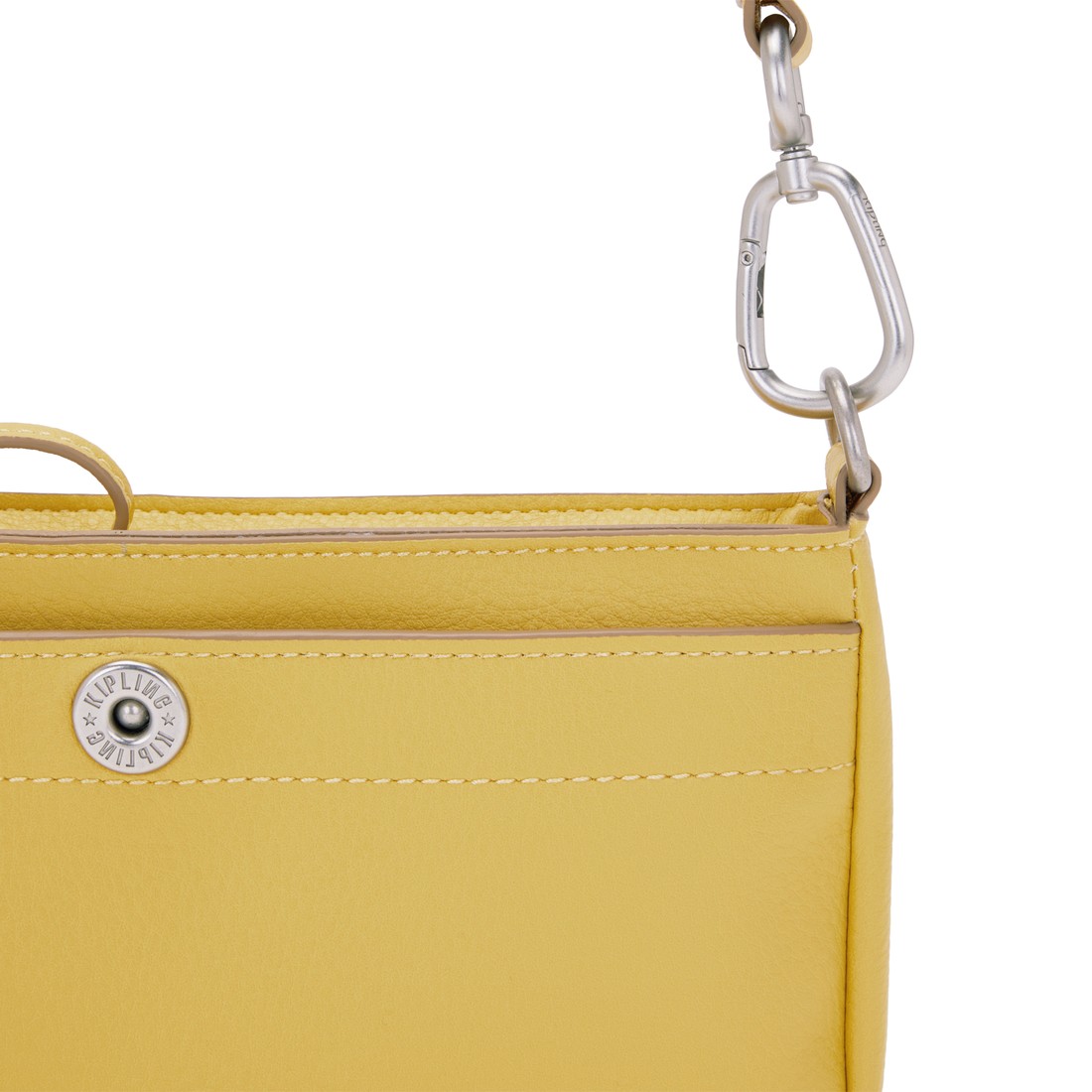 メイズイエローPb