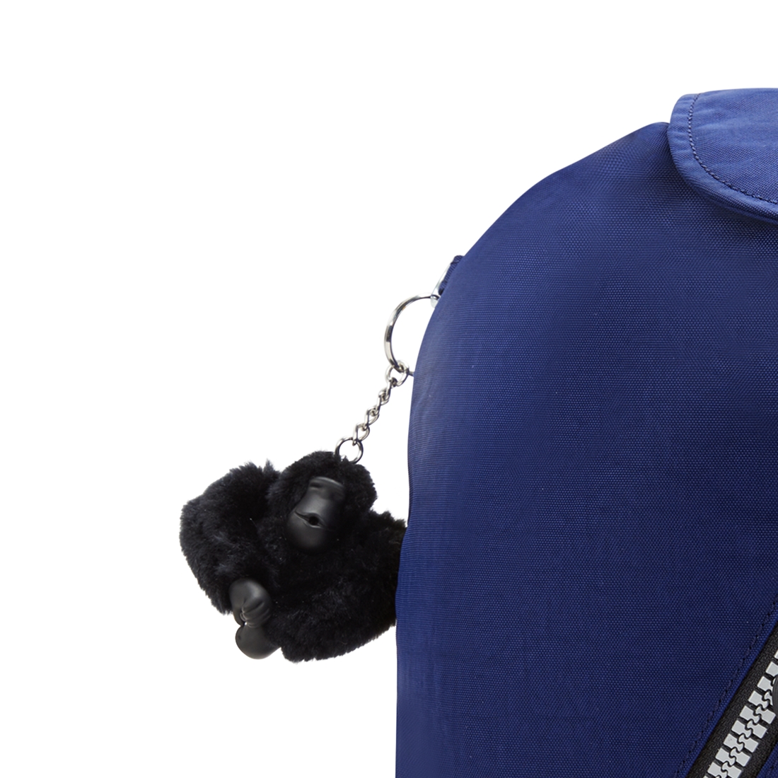 ラピッドネイビー