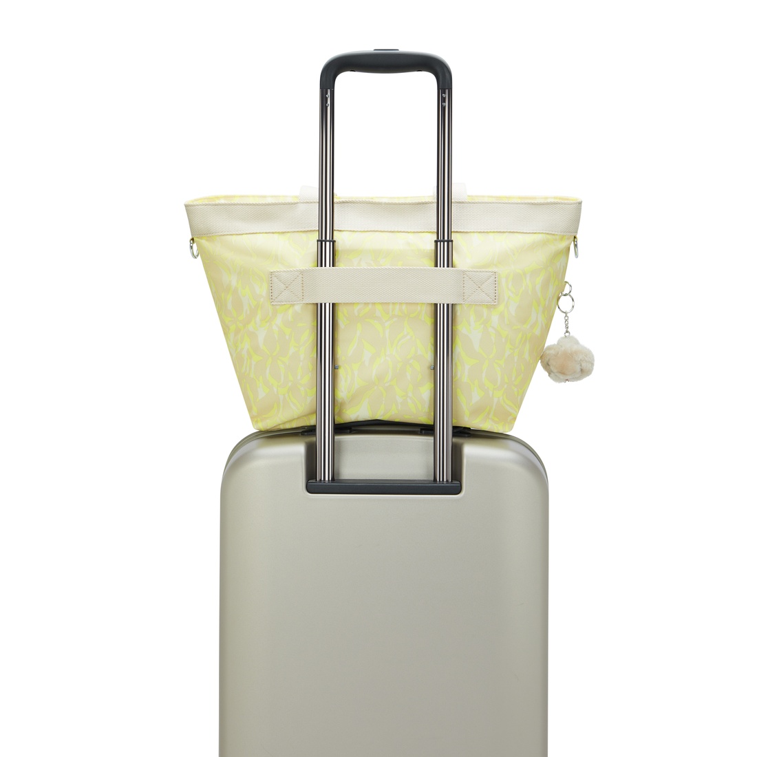 パームムードサン