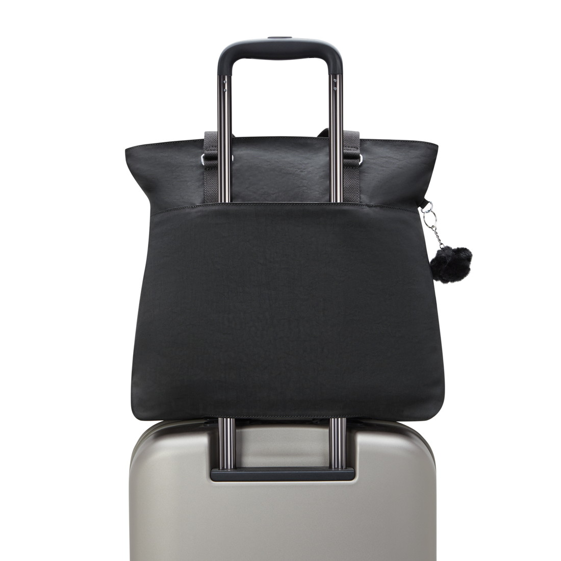 ブラックノワール