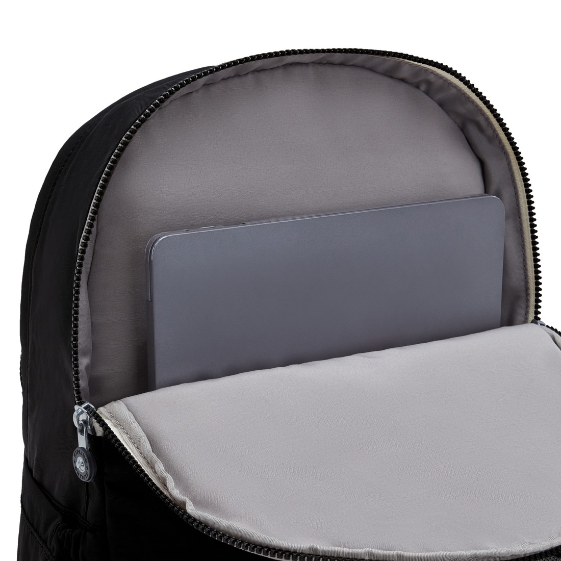 ブラックシェブロン